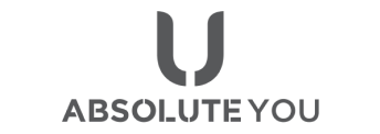 Absolute group grey logo