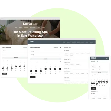 Mindbody branded web tools for day spas