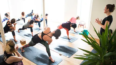People in yoga class doing poses