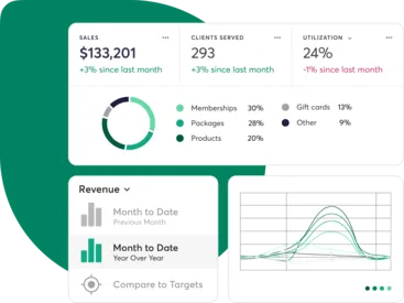 Mindbody reporting features
