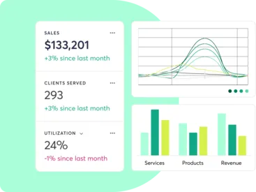 Mindbody reporting features