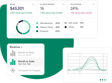 Mindbody reporting features