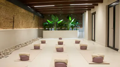 When Nature Calls Biohacking